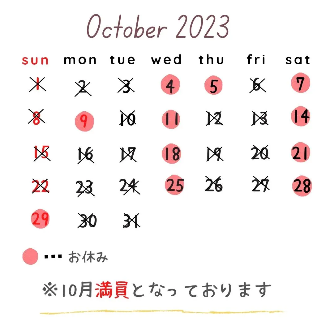 🐾11月の予約開始🐾~岡崎トリミングサロン~